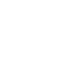 Lungs icon