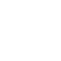 network icon